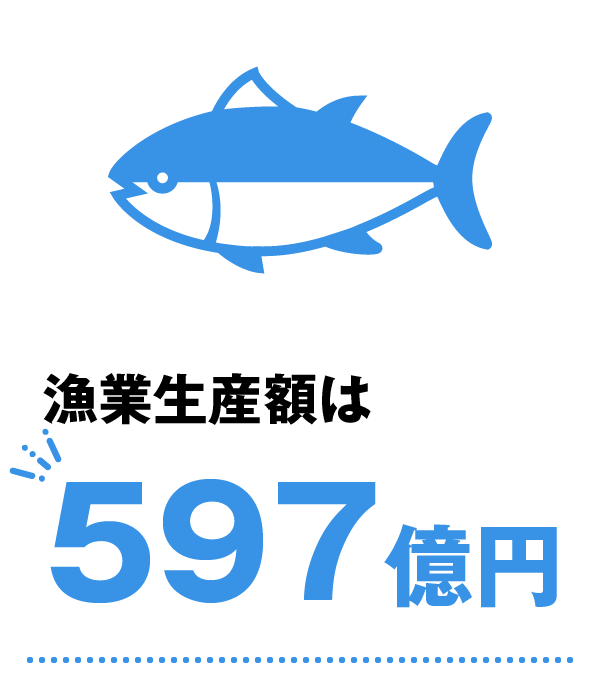 漁業生産額は597億円